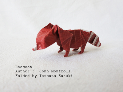 Origami-Raccoon, Author : John Montroll, Folded by Tatsuto Suzuki